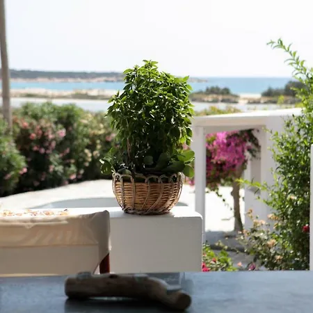 Salty Sea View Naxos Holiday home Kastraki (Naxos)
